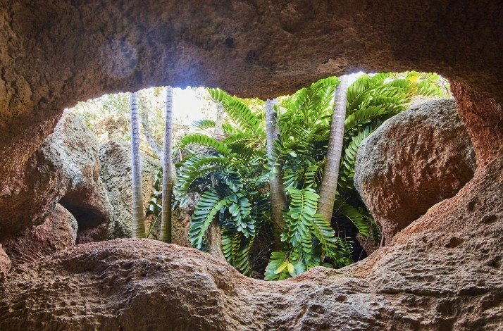 Tropical oasis view from a cave in Bahamas