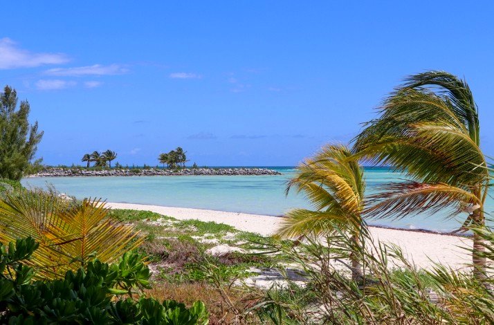 A scenic view of the windy tropical beach in the Carribean.