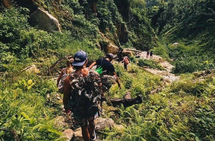 A group of young people hiking at the El Yunque Rainforest.
