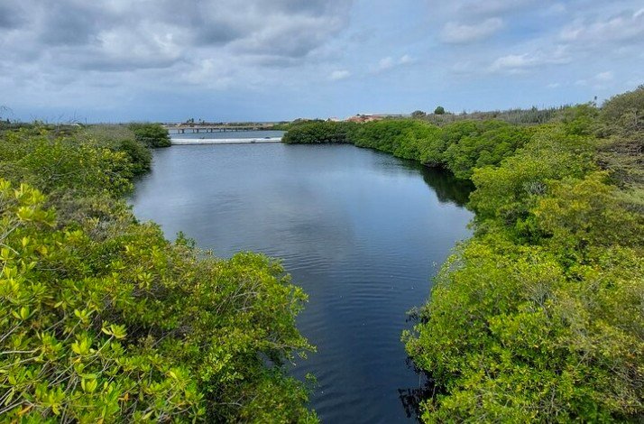 A birt eye view of the Spanish Lagoon at Oranjestad, Aruba.