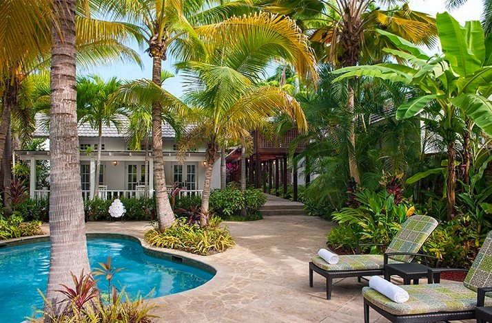 A view of the outdoor pool area surrounded with palm trees at the Half Moon's award-winning Fern Tree Spa.