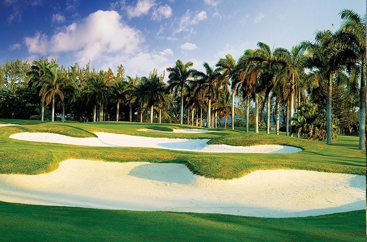 A big yard specifically for playing golf