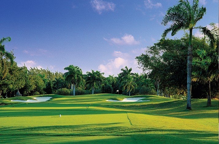 A big yard specifically for playing golf