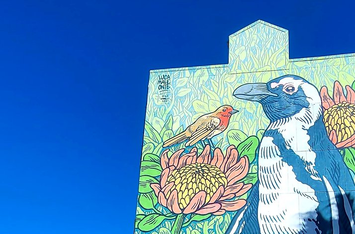 The street art created by Caroline Jordaan painted on the tall building at Cape Town.