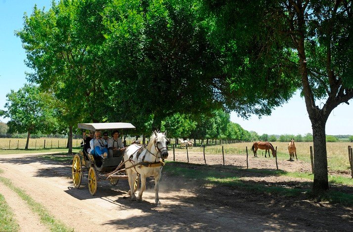 A horse pulls a buggy including the visitors inside at the Areco Tradicion - San Antonio de Areco, Argentina.