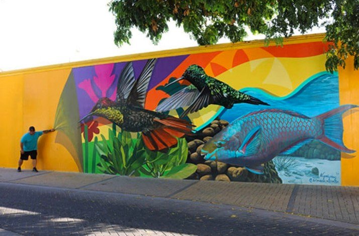 A man is painting a vibrant mural on the wall in San nicolas, the heart of Aruba's art scene.