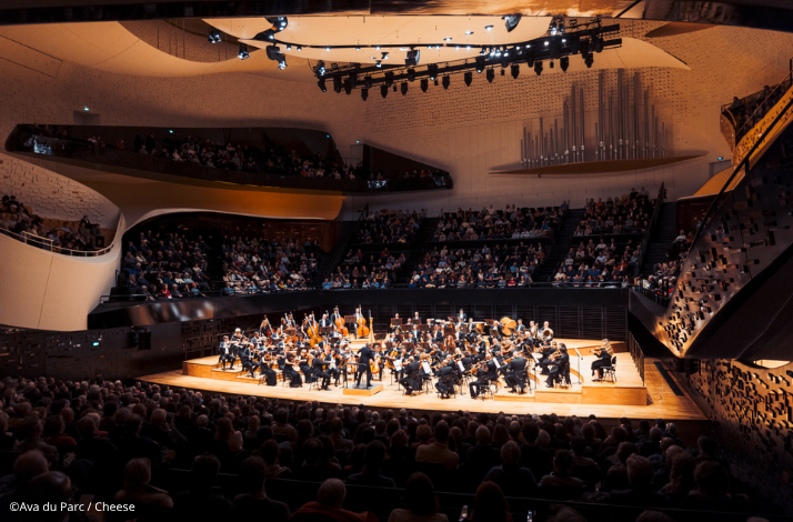 Orchestra performing on a brightly lit stage in a modern concert hall, viewed from the audience. ©Ava du Parc/Cheese