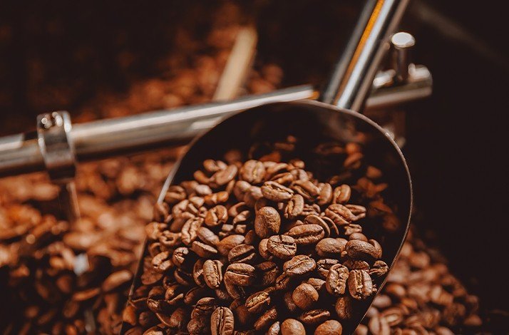 Close-up of coffee beans used at the Van Gogh Specialty Coffee & City Roastery