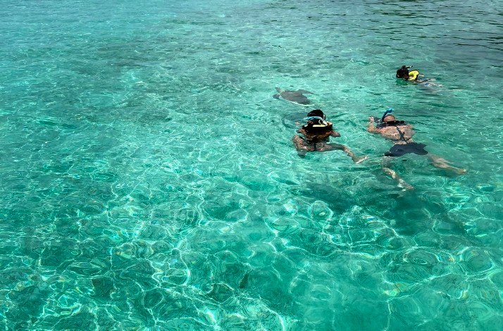 Tourist swimming with a turtle at Nassau, Bahamas