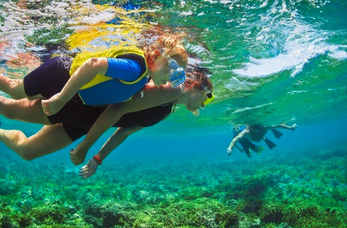 Two people snorkeling in the Bahamas. 