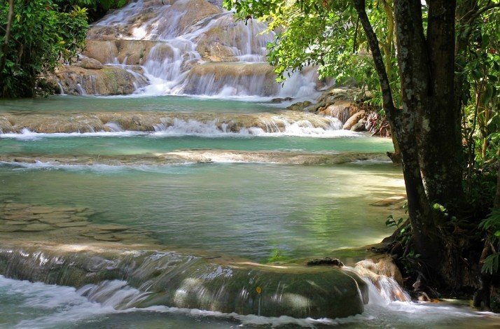 A scenic view of the waterfall falling into the river surrounded by trees and greenery at Dunn's River Falls, Ocho Rios, Jamaica.