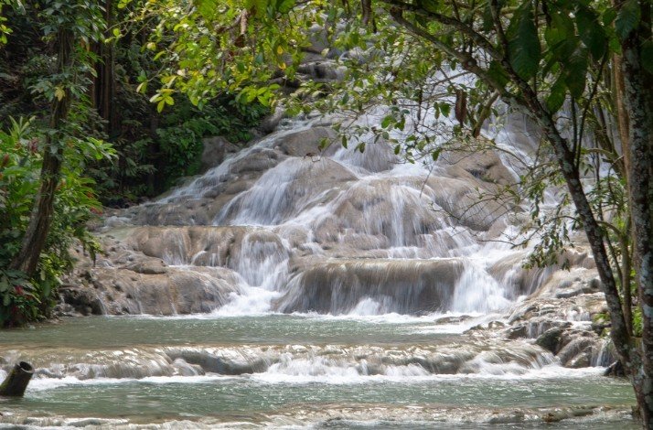 A scenic view of the waterfall falling into the river surrounded by trees and greenery at Dunn's River Falls, Ocho Rios, Jamaica.