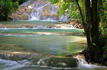 A scenic view of the waterfall falling into the river surrounded by trees and greenery at Dunn's River Falls, Ocho Rios, Jamaica.