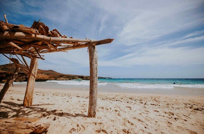 Photo of a Shark Bay.