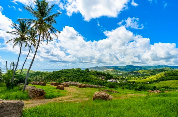 Panoramic view of cherry tree hill reserve