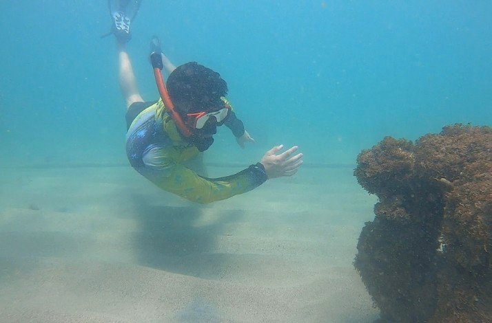 A swimmer diving  Caribbean sea with all the necessary diving equipment.