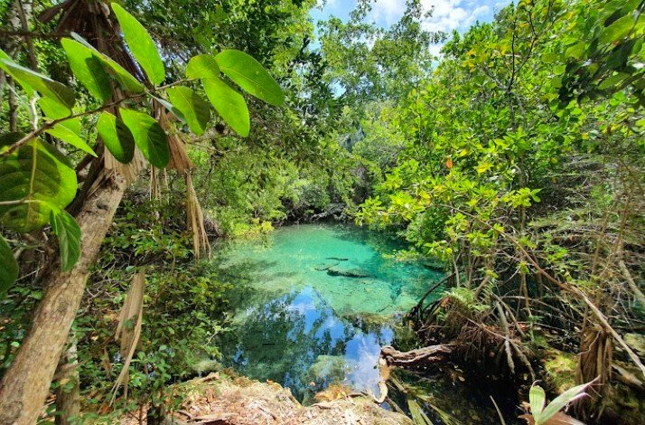 Punta Cana's Indigenous Eyes Ecological Reserve