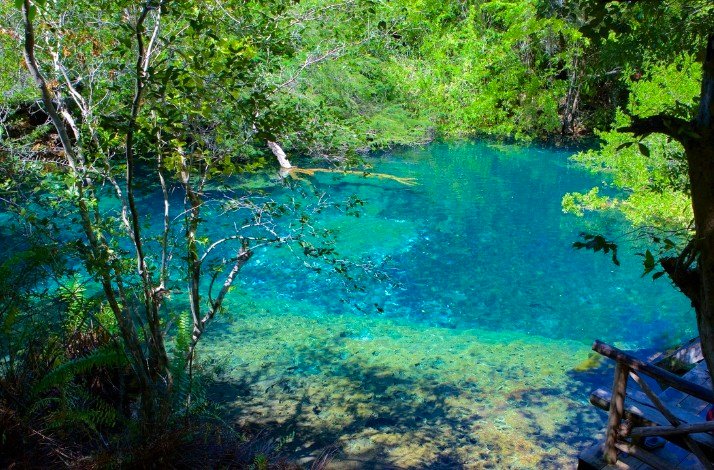 Punta Cana's Indigenous Eyes Ecological Reserve