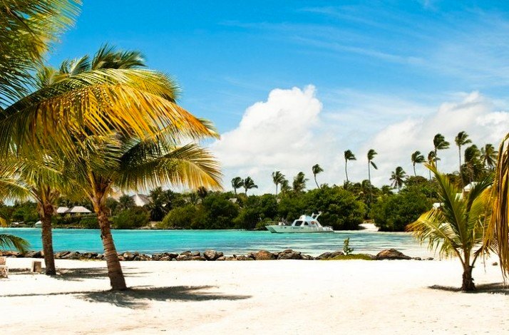 Beach of the Punta Cana lagoon