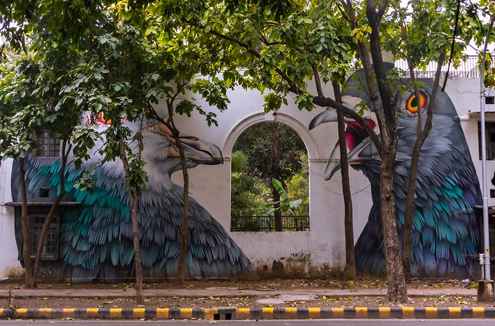Street art Delhi