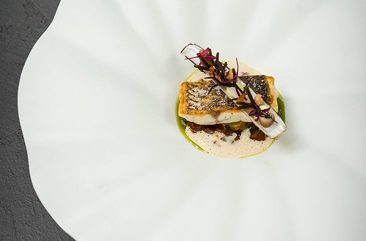 A Michelin starred seabass with a white sauce on the plate.