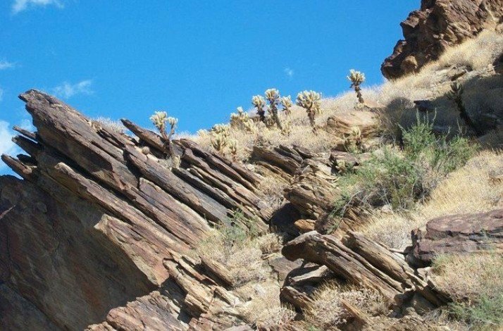 The enchanting nature of the Andreas Canyon with dramatic rocky landscape dotted with palm groves.