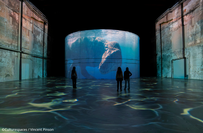 Silhouetted figures standing amid glowing floor projections, facing a curved screen showing a prehistoric sea creature. ©Culturespaces / Vincent Pinson