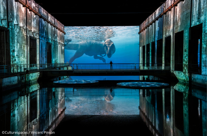 Visitor silhouetted on a bridge at Bassins des Lumières, facing a large-scale underwater marine reptile projection. ©Culturespaces / Vincent Pinson