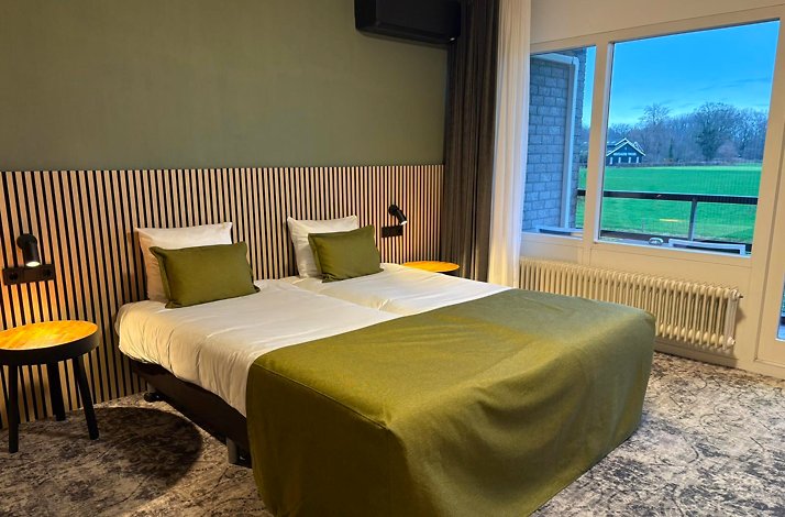 Modern hotel room with twin beds and estate view.