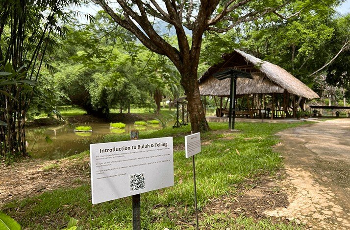 12 acre organic farm area in Ambong Ambong Langkawi.