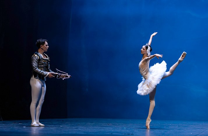 Prince Siegfried and Odette from Swan Lake.
