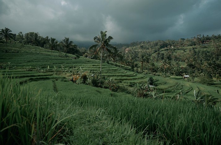 Local farming experience in bali indonesia