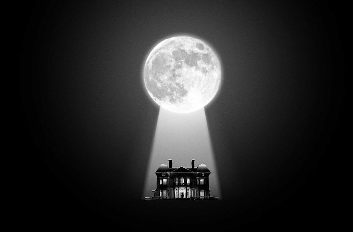 Promotional banner for Viola's Room