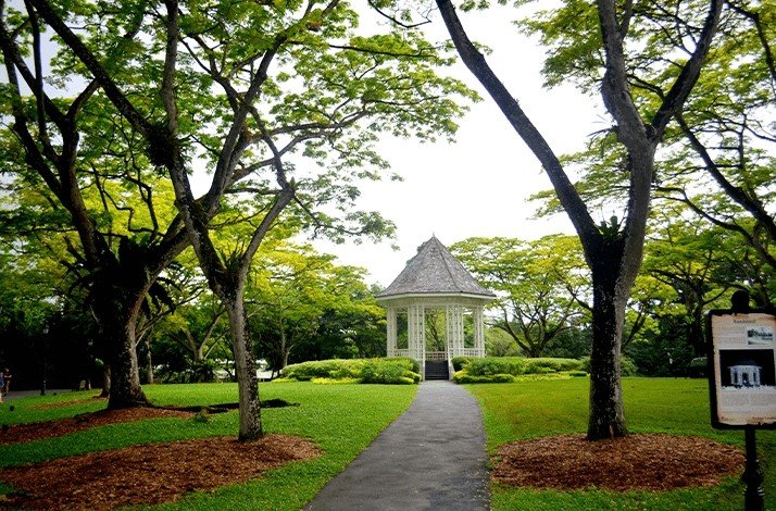 Scenic view of the Singapore Botanic Garden featuring a white gazebo surrounded by lush greenery and towering trees
