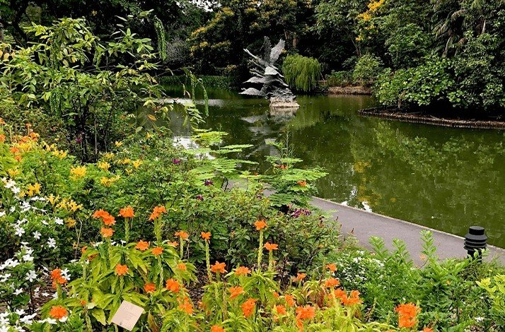 	A pond in the Singapore Botanic Garden surrounded by vibrant flowers and lush greenery