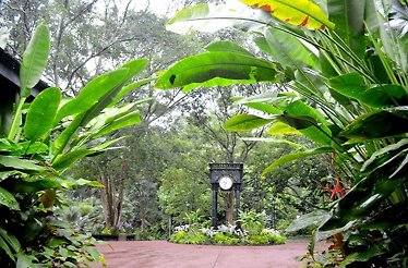 Lush greenery at Singapore Botanic Garden with a vintage clock tower surrounded by tropical plants and trees