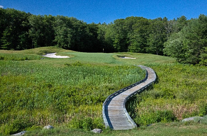 A golf course at TPC surrounded by trees under a clear blue sky.