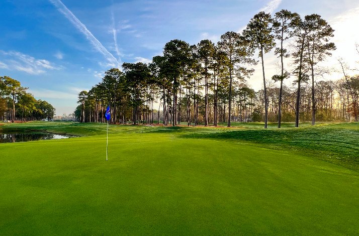 A golf course at TPC surrounded by trees under a clear blue sky.