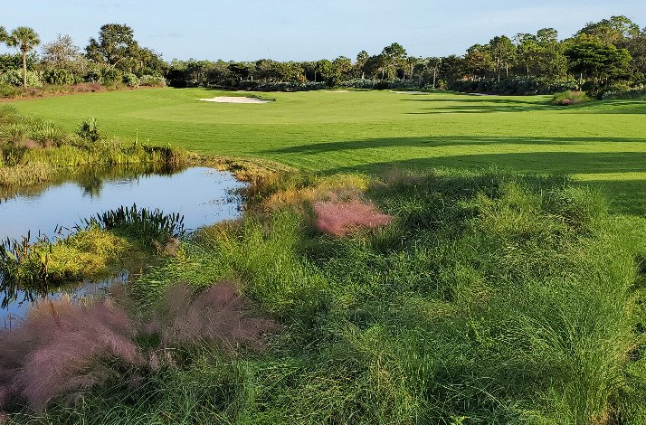 A golf course at TPC surrounded by trees under a clear blue sky.