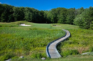 A golf course at TPC surrounded by trees under a clear blue sky.