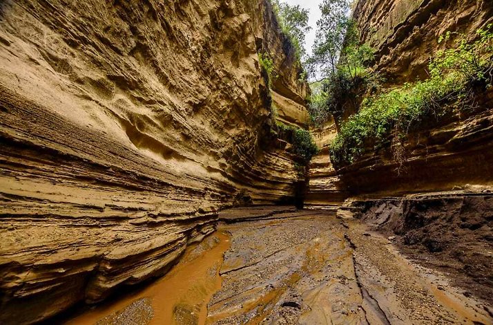 A trail in a ravine at Hells Gate National Park