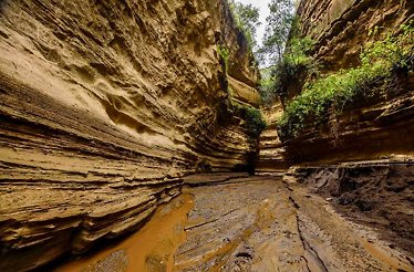 A trail in a ravine at Hells Gate National Park