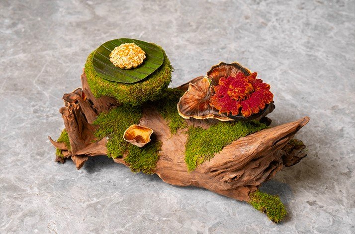 A special dish on a tree bark.