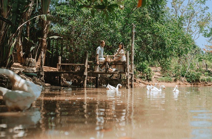 A couple watching swimming swans.