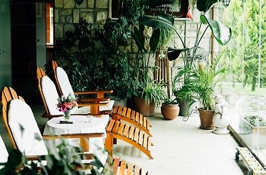 A lounge chair with various plants at Casa Lavanda.