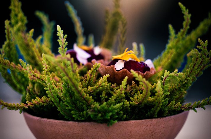 Delight in a forest-to-plate menu at Michelin Green Star Restaurant Jord: In Linköping, Sweden A dish from a forest-to-plate menu served at Michelin Green Star Restaurant Jord.