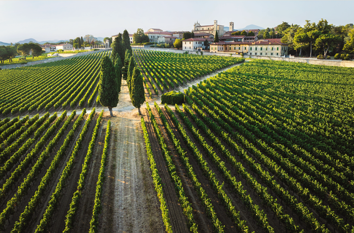 Bird’s-eye view at Franciacorta winery vineyards and premises.