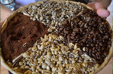 Coffee beans on the plate displayed during the coffee tour to La Azotea coffee plantation