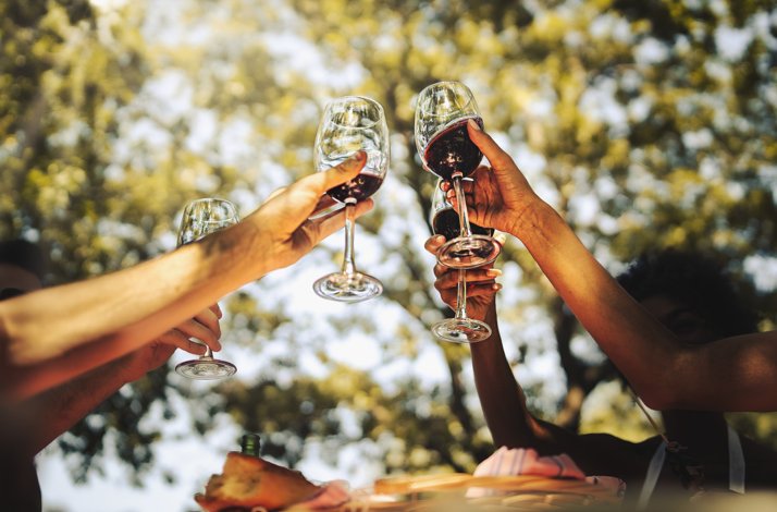 A couple of persons toasting their wines glass