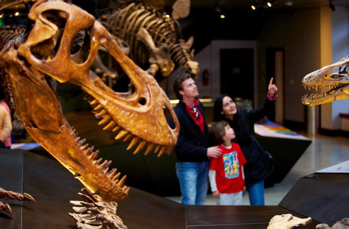 Three visitors looking at a large dinosaur skeleton at the Natural History Museum of Los Angeles.